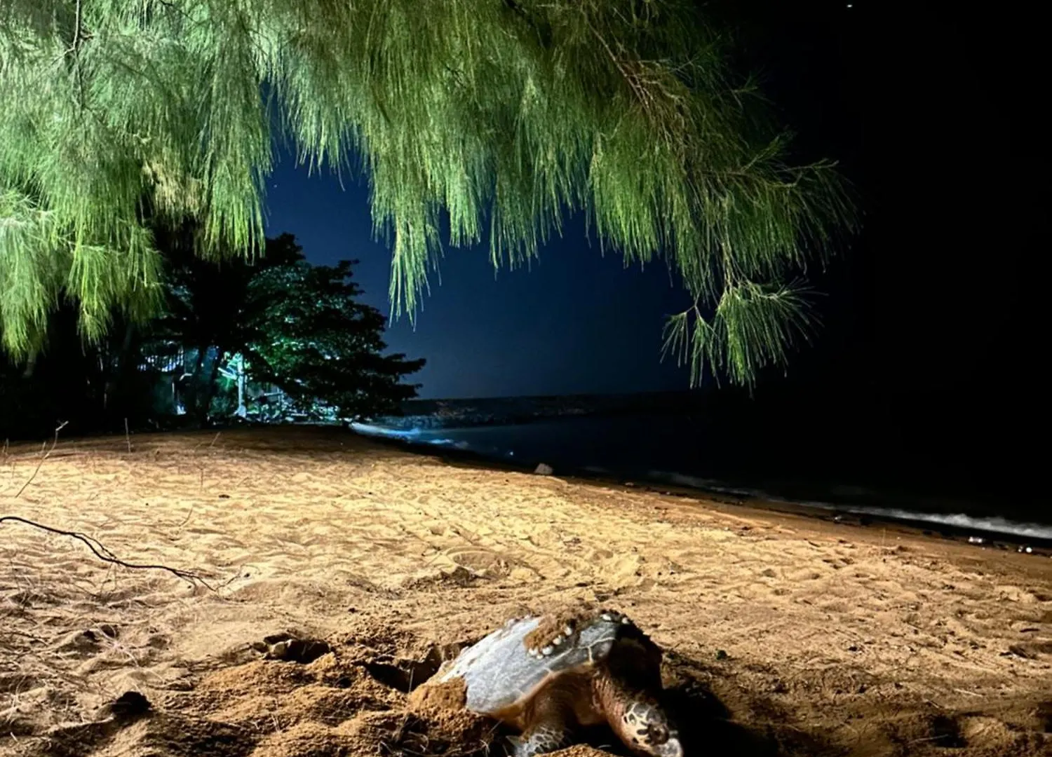 Campsite Beach N Breeze Glamping Malacca